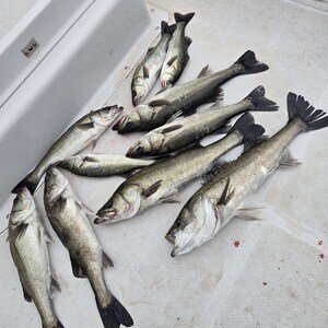 20250602_163945_コピー