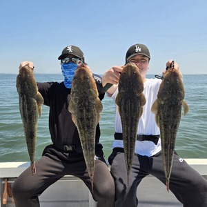 20250605_125728_コピー