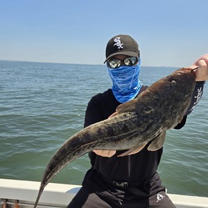 20250605_124907_コピー