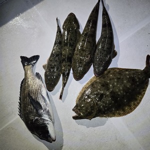 20250606_201139_コピー