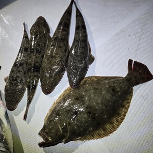 20250606_201147_コピー