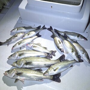 20250607_013530_コピー