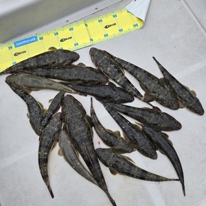 20250607_162712_コピー