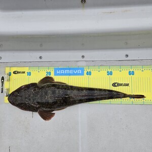 20250607_163748_コピー_コピー