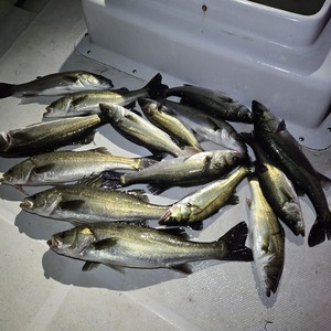 20250608_003421_コピー