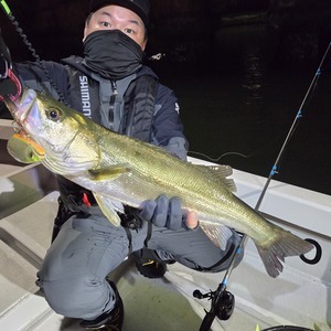 20250607_225957_コピー