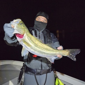 20250607_213238_コピー