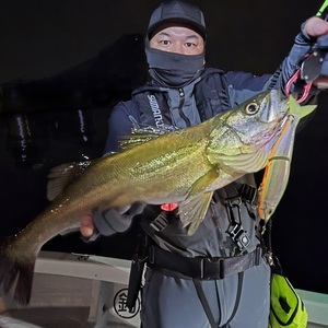 20250607_214024 1_コピー