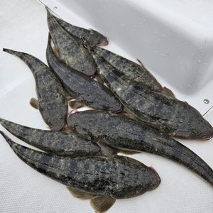 20250608_142901_コピー