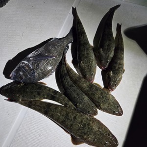 20250608_200257_コピー