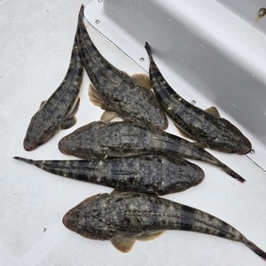 20250609_150604_コピー