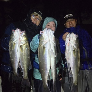 20250610_025153_コピー