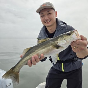 20250615_083915_コピー