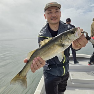 20250615_083809_コピー