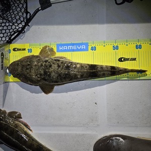 20250615_202658_コピー