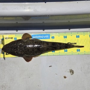 20250618_130020_コピー