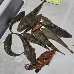 20250618_125636_コピー