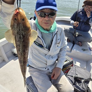 20250618_090234_コピー