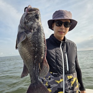 20250621_065914_コピー