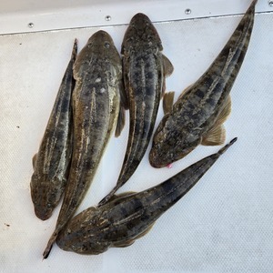 20250621_173158_コピー