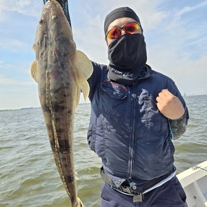 20250621_143423_コピー