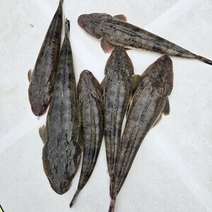 20250623_094940_コピー