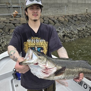 20250623_094210_コピー