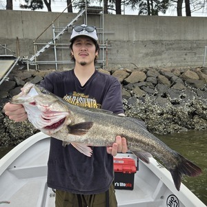 20250623_094159_コピー