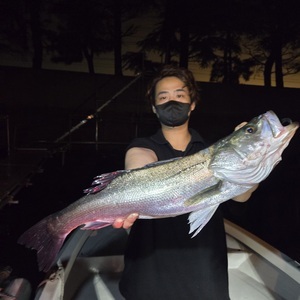 20250626_215336_コピー