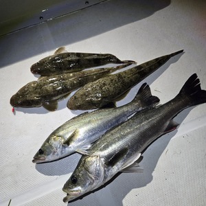 20250626_215606_コピー