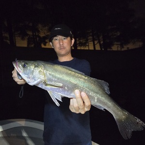 20250626_215430_コピー