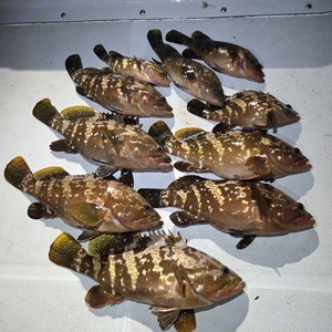 20250628_020018_コピー