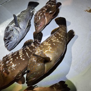 20250629_020104_コピー