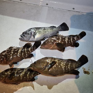 20250629_020026_コピー