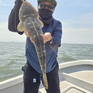 20250629_140045_コピー