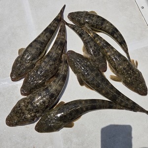 20250629_105645_コピー