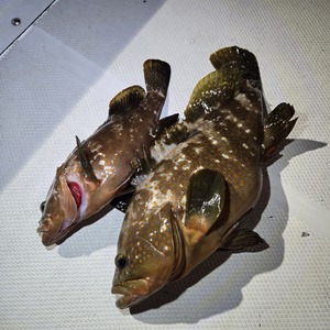 20250702_222911_コピー