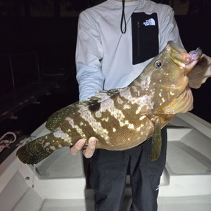 20250702_222827_コピー