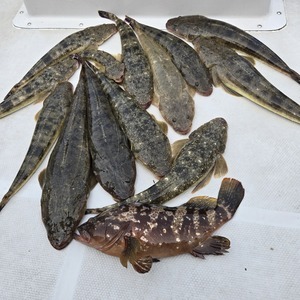 20250705_084056_コピー