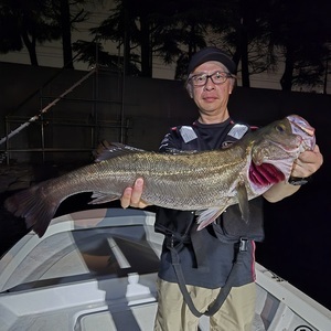 20250706_014903_コピー