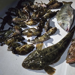 20250713_002929_コピー