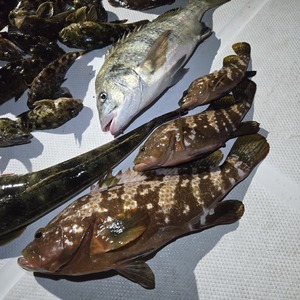 20250713_002922_コピー