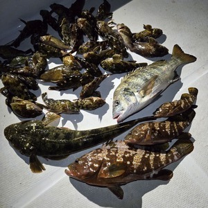 20250713_002917_コピー