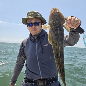 20250713_115432_コピー