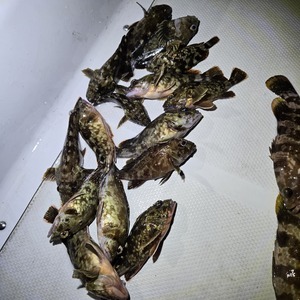 20250719_043030_コピー