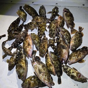 20250721_210713_コピー_コピー