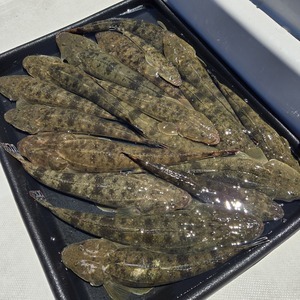 20250725_122353_コピー