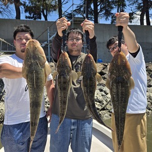 20250726_115644_コピー