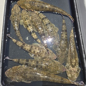 20250726_115850_コピー