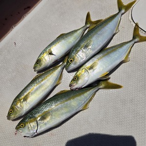 20250726_120959_コピー